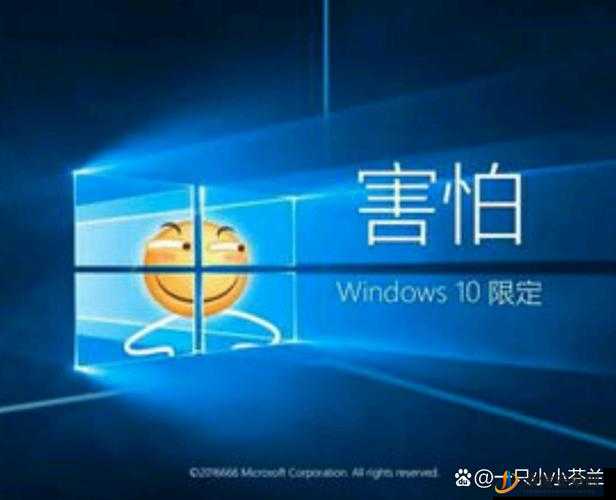 滑稽高清 Windows 免费版 ：带来全新电脑体验