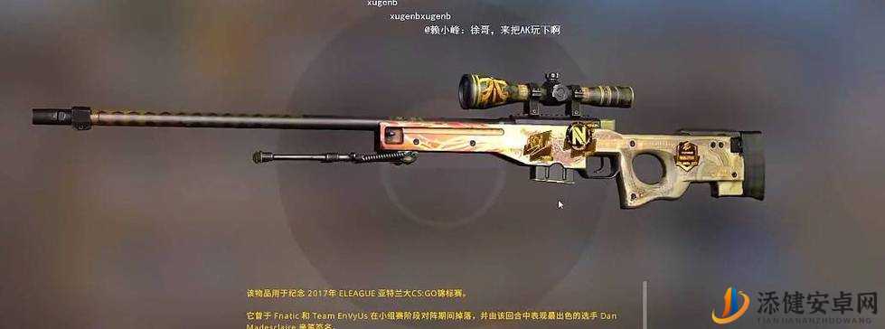 焦点日本csgo 大姐姐 awp 多少钱：价格探究与市场分析