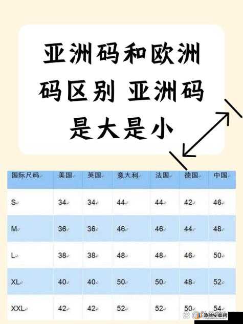 亚洲码和欧洲码 168 区：深入探究其特点与应用领域