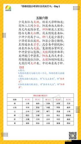 深度剖析，如何打通任督二脉，全面解析校花的贴身高手3D技能系统