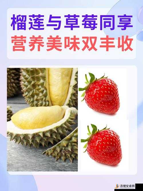 草莓樱桃丝瓜绿秋葵榴莲大全：各种蔬果详细介绍与特点分析