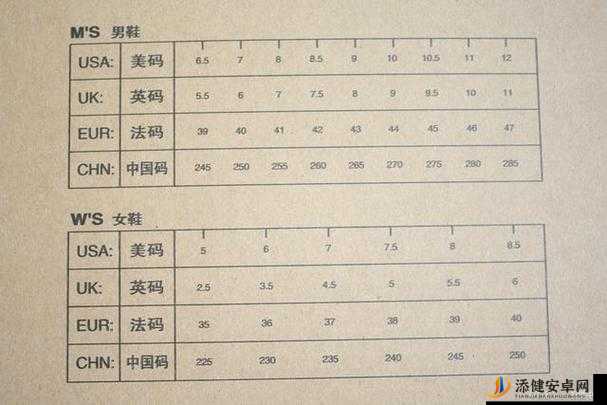 强烈探讨三叶草 M 码与欧洲码的区别要点