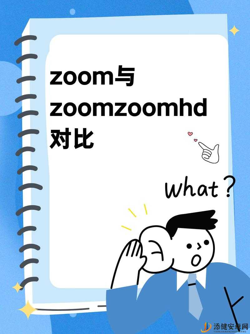 ZOOM 与 ZOOMZOOMHD 对比之详细解析及差异探讨