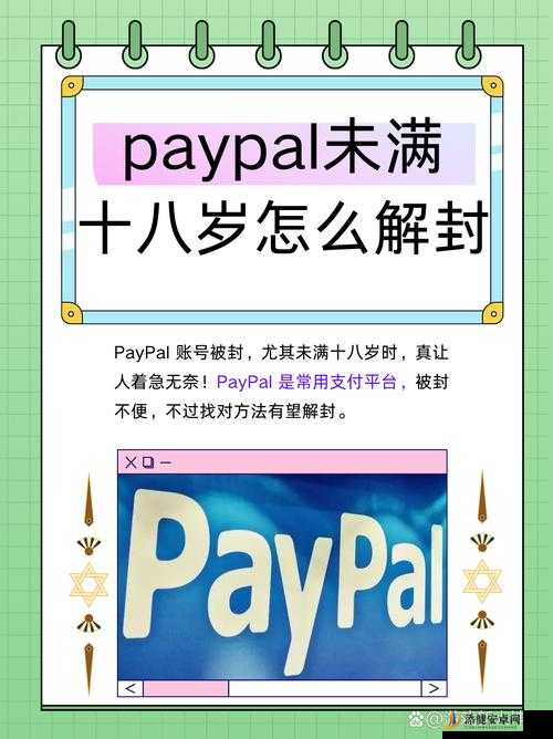 PAYPAL 未满十八岁相关问题及应对措施探讨