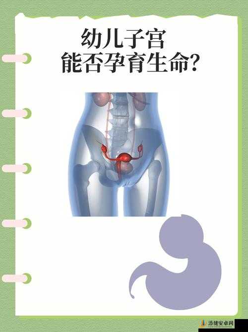 男生女生携手共进，为共同孕育生命而努力奋斗