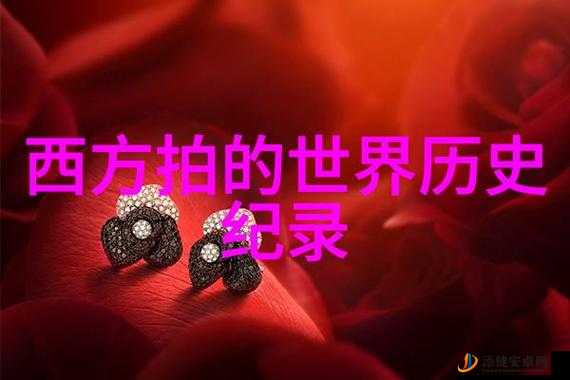 俄罗斯 1317 大但人文艺术：深度探索其独特魅力与价值所在