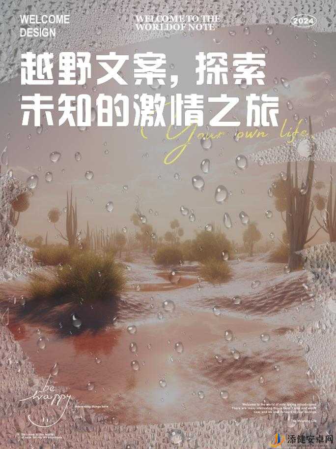 激情碰撞：探索未知的激情之旅