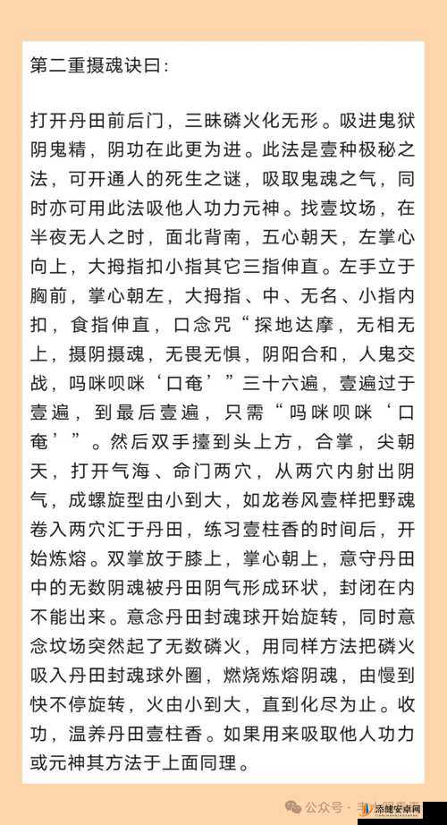 九阴真经手游深度解析，离别刺秘籍技能与运用策略大揭秘