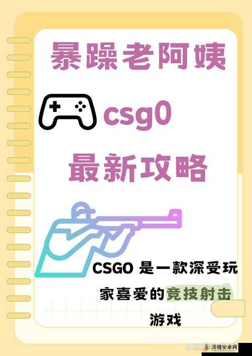 暴躁老阿姨CSGO-带你领略激情电竞的独特魅力